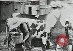 Image of mining town in United States early 1900s United States USA, 1915, second 11 stock footage video 65675041755