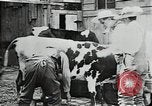 Image of mining town in United States early 1900s United States USA, 1915, second 14 stock footage video 65675041755