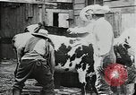 Image of mining town in United States early 1900s United States USA, 1915, second 15 stock footage video 65675041755