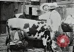 Image of mining town in United States early 1900s United States USA, 1915, second 18 stock footage video 65675041755