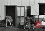 Image of mining town in United States early 1900s United States USA, 1915, second 26 stock footage video 65675041755