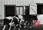 Image of mining town in United States early 1900s United States USA, 1915, second 41 stock footage video 65675041755