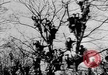 Image Adolf Hitler examens défilé militaire Vienne Autriche, 1938, de la seconde 22 séquences d'archives historiques vidéo 65675041761