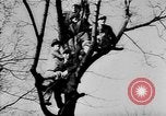 Image Adolf Hitler examens défilé militaire Vienne Autriche, 1938, de la seconde 26 séquences d'archives historiques vidéo 65675041761
