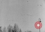 Image Adolf Hitler examens défilé militaire Vienne Autriche, 1938, de la seconde 33 séquences d'archives historiques vidéo 65675041761