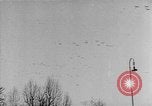 Image Adolf Hitler examens défilé militaire Vienne Autriche, 1938, de la seconde 34 séquences d'archives historiques vidéo 65675041761