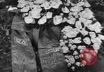 Image of Hermann Goering representing Hitler on Heldengedenktag Germany, 1938, second 45 stock footage video 65675041762