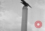 Image of Hitler welcomed during the Anschluss Linz Austria, 1938, second 17 stock footage video 65675041767