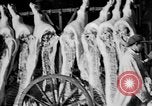 Image of Street scenes Berlin Germany, 1932, second 5 stock footage video 65675041773
