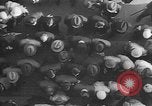 Image of Street scenes Berlin Germany, 1932, second 10 stock footage video 65675041773