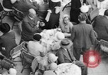 Image of scenes of life in Berlin Germany early 1930s Berlin Germany, 1932, second 62 stock footage video 65675041775