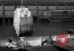Image of freighter Leopold Staten Island New York USA, 1941, second 47 stock footage video 65675041790