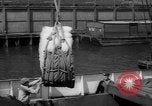 Image of freighter Leopold Staten Island New York USA, 1941, second 49 stock footage video 65675041790