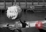 Image of freighter Leopold Staten Island New York USA, 1941, second 62 stock footage video 65675041790