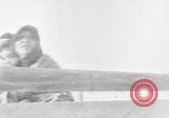 Image of Crow Native American Indian tribe reservation Montana United States USA, 1921, second 30 stock footage video 65675041805