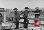 Image of Cattle ranching by Crow Native American Indian tribe Montana United States USA, 1921, second 5 stock footage video 65675041806