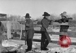 Image of Cattle ranching by Crow Native American Indian tribe Montana United States USA, 1921, second 6 stock footage video 65675041806