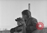 Image of Cattle ranching by Crow Native American Indian tribe Montana United States USA, 1921, second 10 stock footage video 65675041806