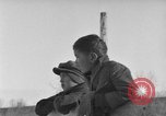 Image of Cattle ranching by Crow Native American Indian tribe Montana United States USA, 1921, second 15 stock footage video 65675041806