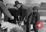 Image of Cattle ranching by Crow Native American Indian tribe Montana United States USA, 1921, second 22 stock footage video 65675041806