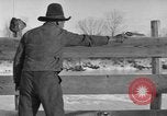 Image of Cattle ranching by Crow Native American Indian tribe Montana United States USA, 1921, second 54 stock footage video 65675041806