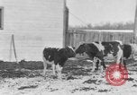 Image of Farm of Crow Native American Indian tribe Montana United States USA, 1921, second 1 stock footage video 65675041807