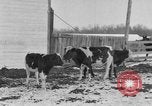 Image of Farm of Crow Native American Indian tribe Montana United States USA, 1921, second 3 stock footage video 65675041807