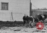 Image of Farm of Crow Native American Indian tribe Montana United States USA, 1921, second 7 stock footage video 65675041807