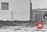 Image of Farm of Crow Native American Indian tribe Montana United States USA, 1921, second 10 stock footage video 65675041807