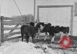 Image of Farm of Crow Native American Indian tribe Montana United States USA, 1921, second 12 stock footage video 65675041807