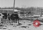Image of Farm of Crow Native American Indian tribe Montana United States USA, 1921, second 18 stock footage video 65675041807