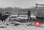 Image of Farm of Crow Native American Indian tribe Montana United States USA, 1921, second 21 stock footage video 65675041807