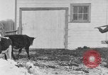 Image of Farm of Crow Native American Indian tribe Montana United States USA, 1921, second 23 stock footage video 65675041807