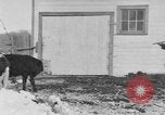Image of Farm of Crow Native American Indian tribe Montana United States USA, 1921, second 24 stock footage video 65675041807