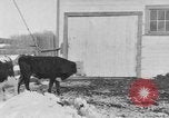 Image of Farm of Crow Native American Indian tribe Montana United States USA, 1921, second 25 stock footage video 65675041807