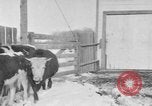 Image of Farm of Crow Native American Indian tribe Montana United States USA, 1921, second 28 stock footage video 65675041807