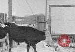 Image of Farm of Crow Native American Indian tribe Montana United States USA, 1921, second 29 stock footage video 65675041807
