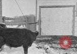 Image of Farm of Crow Native American Indian tribe Montana United States USA, 1921, second 31 stock footage video 65675041807