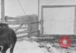 Image of Farm of Crow Native American Indian tribe Montana United States USA, 1921, second 32 stock footage video 65675041807