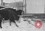 Image of Farm of Crow Native American Indian tribe Montana United States USA, 1921, second 33 stock footage video 65675041807