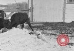 Image of Farm of Crow Native American Indian tribe Montana United States USA, 1921, second 37 stock footage video 65675041807