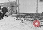 Image of Farm of Crow Native American Indian tribe Montana United States USA, 1921, second 38 stock footage video 65675041807