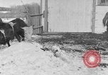 Image of Farm of Crow Native American Indian tribe Montana United States USA, 1921, second 39 stock footage video 65675041807