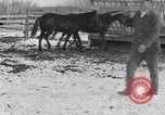 Image of Farm of Crow Native American Indian tribe Montana United States USA, 1921, second 41 stock footage video 65675041807