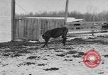 Image of Farm of Crow Native American Indian tribe Montana United States USA, 1921, second 42 stock footage video 65675041807