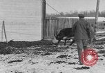 Image of Farm of Crow Native American Indian tribe Montana United States USA, 1921, second 46 stock footage video 65675041807