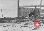 Image of Farm of Crow Native American Indian tribe Montana United States USA, 1921, second 47 stock footage video 65675041807