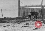 Image of Farm of Crow Native American Indian tribe Montana United States USA, 1921, second 48 stock footage video 65675041807