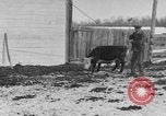 Image of Farm of Crow Native American Indian tribe Montana United States USA, 1921, second 50 stock footage video 65675041807