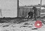 Image of Farm of Crow Native American Indian tribe Montana United States USA, 1921, second 52 stock footage video 65675041807